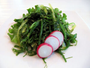 Benefits of an Alkaline Diet with Herbal Support