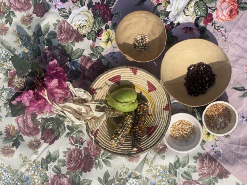 Seed SistAs' Garden Grant by Earth Tenders