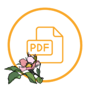 pdf